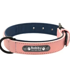 Haustierhalsband mit Leine