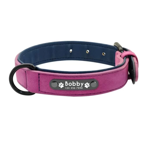 Haustierhalsband mit Leine